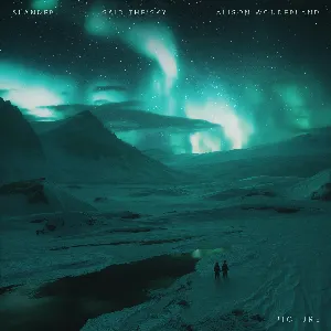 Pochette de Picture de Said the Sky - SLANDER
