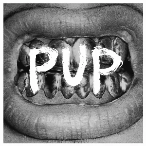 Pochette de PUP de PUP