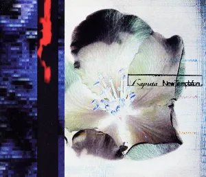 Pochette de 誘〜New Temptation〜惑 de Laputa