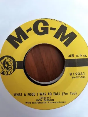 Pochette de What a Fool I Was to Fall de Don Gibson