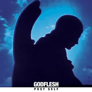 Pochette de Post Self de Godflesh