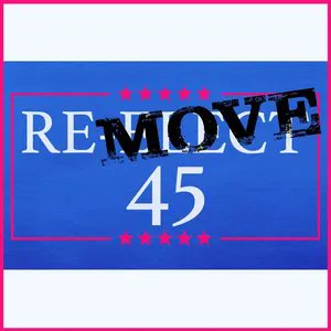 Pochette Remove 45