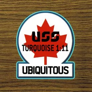 Pochette de Turquoise 1:11 de Ubiquitous Synergy Seeker