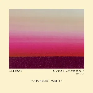 Pochette de Wild Dogs (Running in a Slow Dream) (Acoustic) de Matchbox Twenty