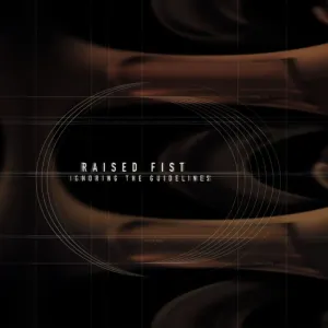 Pochette de Ignoring the Guidelines de Raised Fist