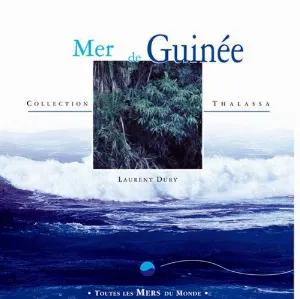 Pochette de Mer de Guinée de Laurent Dury