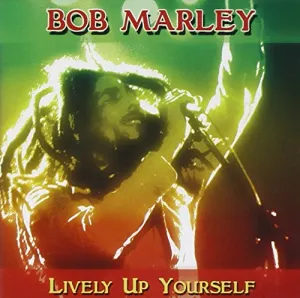 Pochette de Lively Up Yourself de Bob Marley