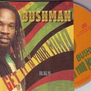 Pochette de Get It in Your Mind de Bushman