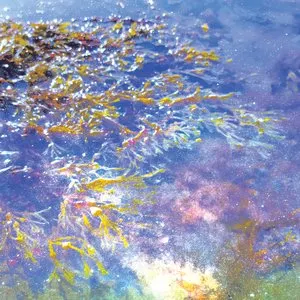 Pochette de Memoirs /// Perforated Air de Tim Six