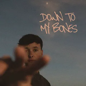 Pochette de Down To My Bones de Remo Forrer