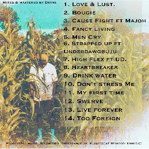 Pochette de Too Foreign de Drimsbaby