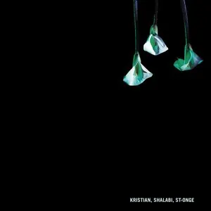 Pochette de Kristian, Shalabi, St-Onge de David Kristian