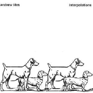 Pochette de Interpolations de Andrew Liles