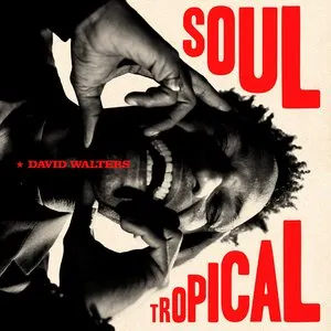 Pochette de Soul Tropical de David Walters