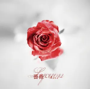 Pochette 薔薇～Rose～