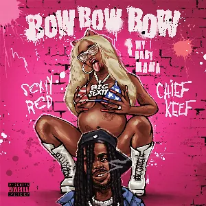 Pochette de Bow Bow Bow (F My Baby Mama) de Sexyy Red - Chief Keef