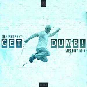 Pochette de Get Dumb! (Melody mix) de The Prophet