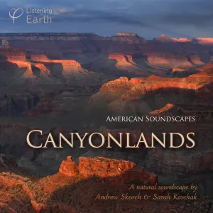 Pochette de American Soundscapes: Canyonlands de Andrew Skeoch