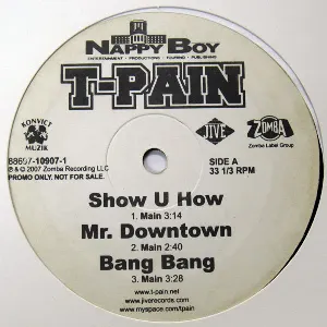 Pochette de Show U How de T‐Pain