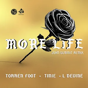 Pochette de More Life (John Summit remix) de Tinie Tempah