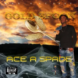 Pochette de Gold Spoon de ASCE AA SPADE