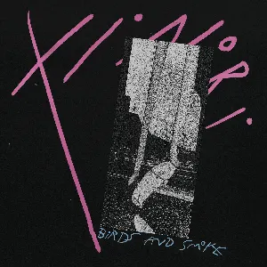 Pochette de Birds and Smoke de Xinobi