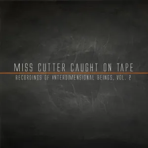 Pochette de Recordings of Interdimensional Beings, Vol. 2 de Cheating Spouses Caught on Tape