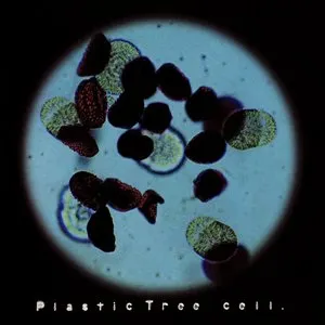 Pochette de cell. de Plastic Tree