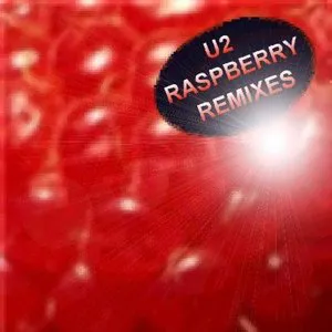 Pochette Raspberry: Remixes for Next Generation