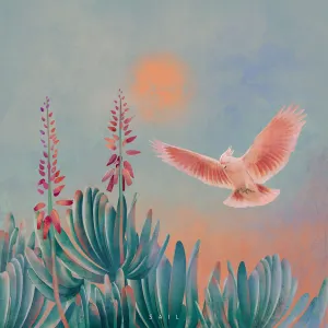 Pochette de Sail de Moderator