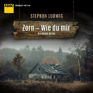 Pochette de Zorn: Wie du mir de David Nathan