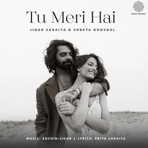 Pochette de Tu Meri Hai de Sachin-Jigar