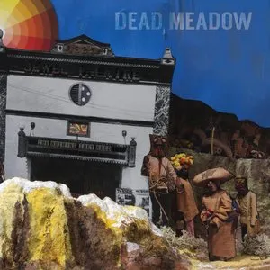 Pochette de The Nothing They Need de Dead Meadow