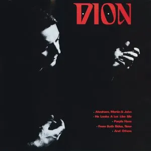 Pochette de Dion de Dion