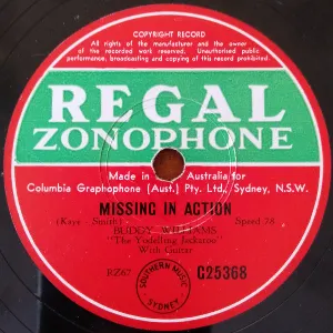 Pochette de Missing in Action de Buddy Williams