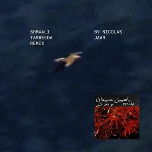 Pochette de Shmaali شمالي Tarweeda (Nicolas Jaar remix) de Yasmine Hamdan