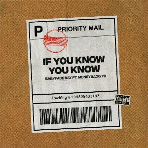 Pochette de If You Know You Know de Moneybagg Yo