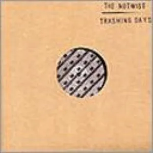 Pochette de Trashing Days de The Notwist
