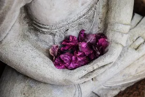 Pochette de The Zen of Drone: Simply Beautiful Drone Poems, Vol. 2 de Wings of an Angel