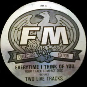 Pochette de Everytime I Think of You de FM