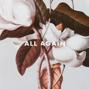 Pochette de All Again de Boombox Cartel