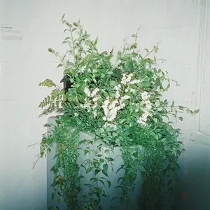 Pochette de Love Eventually de Samuel Seo