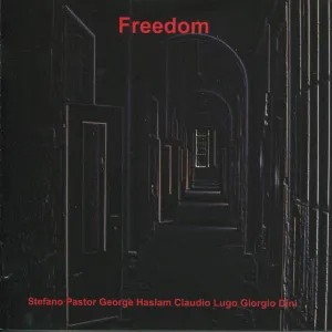 Pochette de Freedom de George Haslam