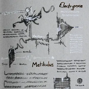 Pochette de Metikulus de Electrypnose