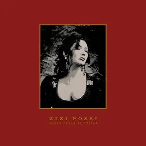 Pochette de Sobre Todas as Coisas de Zizi Possi