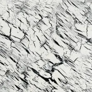 Pochette de Excavations 1 de Joshua Abrams