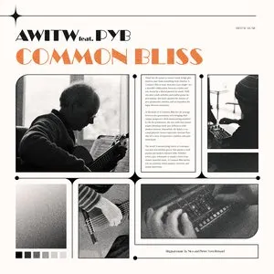 Pochette de Common Bliss de AWITW