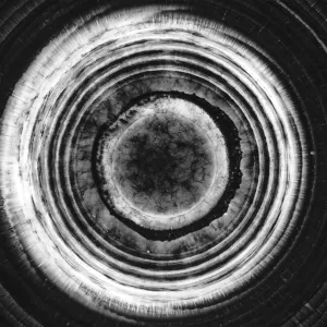 Pochette de Island on the Moon de Dirk Serries