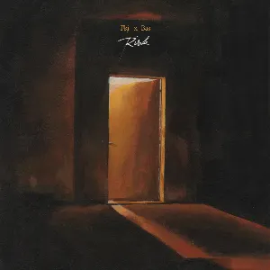 Pochette de Risk de FKJ