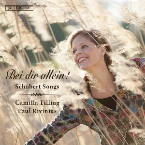 Pochette Bei dir allein!: Schubert Songs